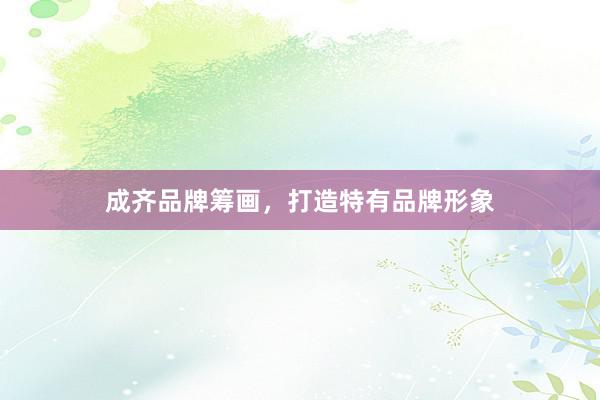 成齐品牌筹画，打造特有品牌形象