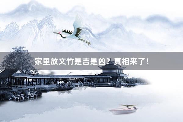家里放文竹是吉是凶?真相来了!