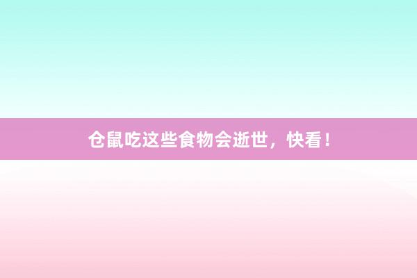 仓鼠吃这些食物会逝世，快看！