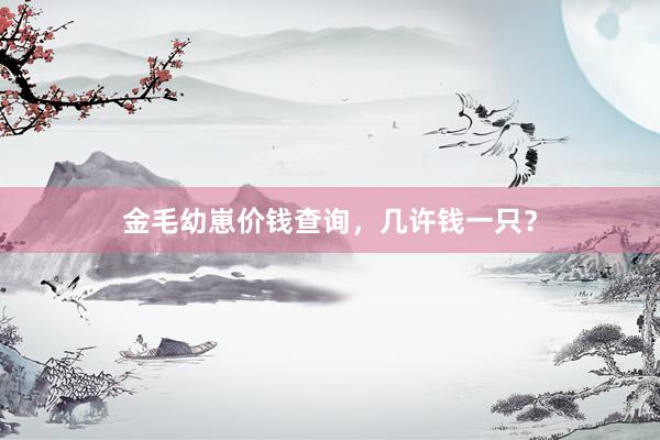 金毛幼崽价钱查询,几许钱一只?