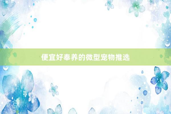 便宜好奉养的微型宠物推选